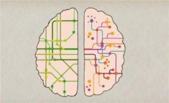 经颅磁刺激能治疗哪些疾病?